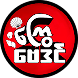 Partner logo 5