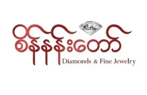 Partner logo 105